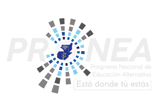 Programa Nacional de Educacion Alternativa, PRONEA