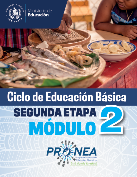 Módulo 2 | Etapa 2 | Ciclo de Educación Básica