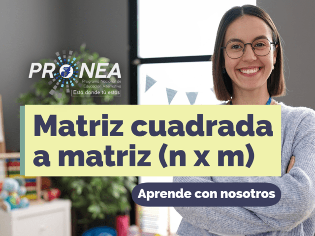Matriz cuadrada a matriz (n × m)