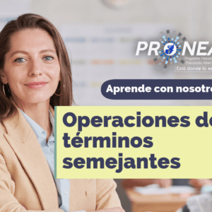 Una profesora de brazos cruzados. Presenta el tema "Operaciones de términos semejantes". Se lee la leyenda "Aprende con nosotros" por parte del Programa Nacional de Educación Alternativa.