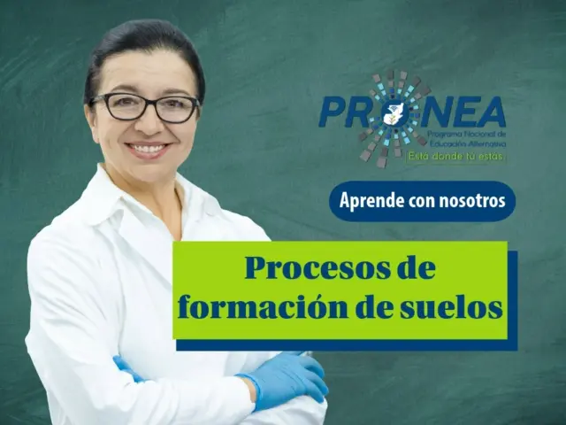 Procesos de formación de suelos: cómo se originan y por qué son importantes