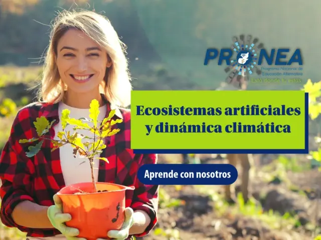 Ecosistemas artificiales y dinámica climática: conoce cómo funciona el clima