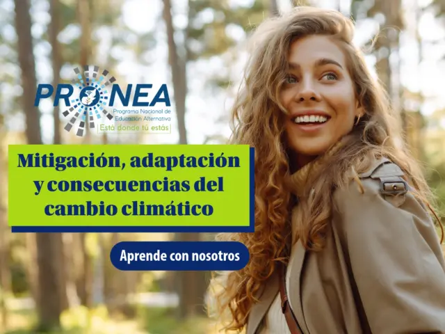 Mitigación, adaptación y consecuencias del cambio climático: estrategias para la sostenibilidad