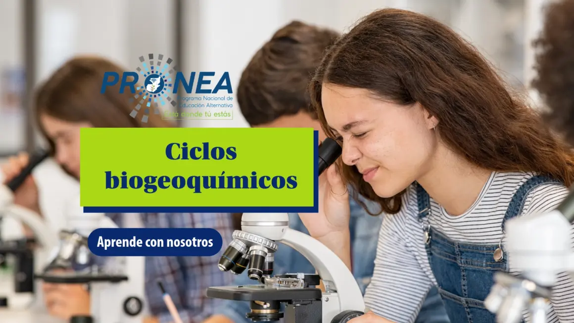 Una niña está observando un organismo a través de un microscopio. Se presenta el tema "ciclos biogeoquímicos". Se lee "Aprende con nosotros", del Programa Nacional de Educación Alternativa.