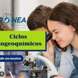 Una niña está observando un organismo a través de un microscopio. Se presenta el tema "ciclos biogeoquímicos". Se lee "Aprende con nosotros", del Programa Nacional de Educación Alternativa.