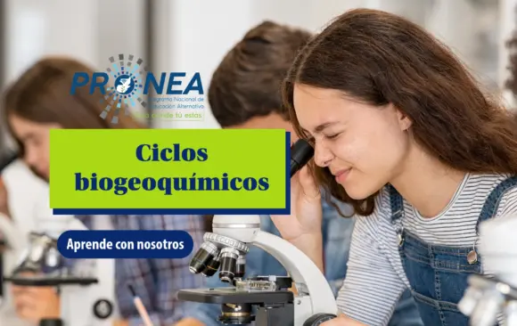Una niña está observando un organismo a través de un microscopio. Se presenta el tema "ciclos biogeoquímicos". Se lee "Aprende con nosotros", del Programa Nacional de Educación Alternativa.