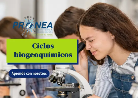 Una niña está observando un organismo a través de un microscopio. Se presenta el tema "ciclos biogeoquímicos". Se lee "Aprende con nosotros", del Programa Nacional de Educación Alternativa.