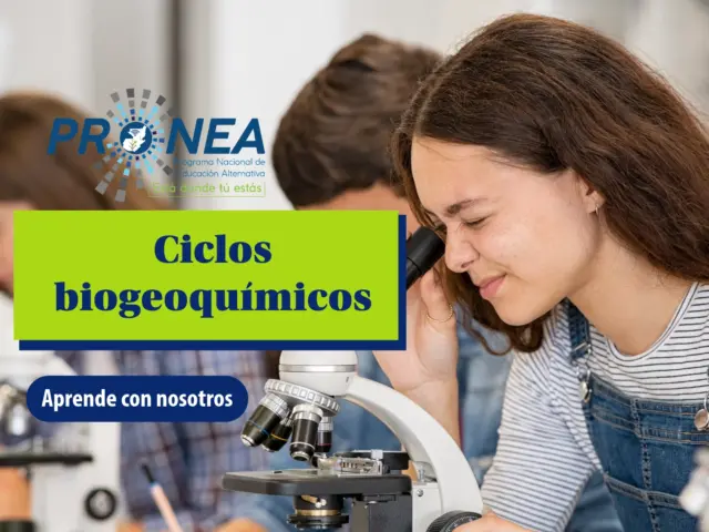 Ciclo del oxígeno, nitrógeno y biomas de Guatemala