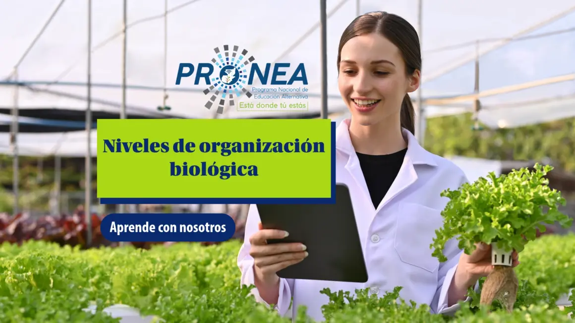 Una chica bióloga está en un lugar con muchas plantas. Tiene una tablet en una mano y una planta en otra. Se presenta el tema "niveles de organización biológica". Se lee "Aprende con nosotros", del Programa Nacional de Educación Alternativa (Pronea).