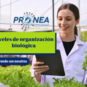 Una chica bióloga está en un lugar con muchas plantas. Tiene una tablet en una mano y una planta en otra. Se presenta el tema "niveles de organización biológica". Se lee "Aprende con nosotros", del Programa Nacional de Educación Alternativa (Pronea).