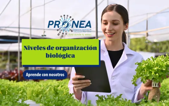 Una chica bióloga está en un lugar con muchas plantas. Tiene una tablet en una mano y una planta en otra. Se presenta el tema "niveles de organización biológica". Se lee "Aprende con nosotros", del Programa Nacional de Educación Alternativa (Pronea).