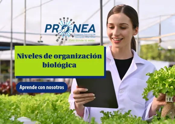Una chica bióloga está en un lugar con muchas plantas. Tiene una tablet en una mano y una planta en otra. Se presenta el tema "niveles de organización biológica". Se lee "Aprende con nosotros", del Programa Nacional de Educación Alternativa (Pronea).